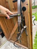 Hoofdstel Kieffer - full (paard) donkerbruin, Dieren en Toebehoren, Ophalen