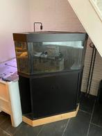 Juwel hoek aquarium, Dieren en Toebehoren, Ophalen, Gebruikt, Leeg aquarium