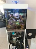 Aqualife aquarium, Dieren en Toebehoren, Ophalen of Verzenden, Zo goed als nieuw