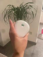 Hoofdmassage apparaat met LED  haargroei NIEUW/WATERPROOF, Ophalen of Verzenden, Nieuw, Apparaat