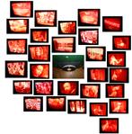 16mm film Brugge Gent Antwerpen Vlaamse Doc roodbruin --, Envoi, Film 16 mm