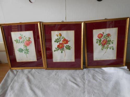 3 vintage kaders met detailprent van bloemen, Antiek en Kunst, Curiosa en Brocante, Ophalen of Verzenden