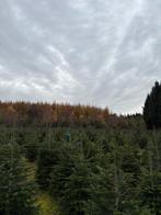 Sapins de Noël de premièr choix Sans pesticides, Diversen, Kerst, Ophalen, Nieuw