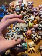 petshop chat europeen, Enlèvement ou Envoi, Comme neuf