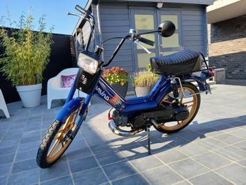 honda camino beschikbaar voor biedingen