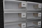 Aluminium kweek - & vluchtkooien, Dieren en Toebehoren, Ophalen, Nieuw, Aluminium, Broedkooi of Kweekkooi