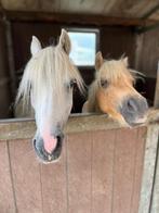 Pony gezocht, Ophalen of Verzenden