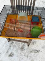 Hamster / Cavia hok, Dieren en Toebehoren, Ophalen, Zo goed als nieuw, Hok, Cavia
