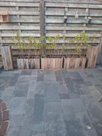 5 houten bloembakken inclusief planten, Ophalen of Verzenden, Zo goed als nieuw, Tuin