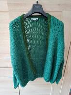 Splinternieuwe Cardigan Millennium TU, Ophalen of Verzenden, Nieuw