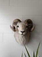 Grande tête de bélier, Ophalen of Verzenden, Zo goed als nieuw