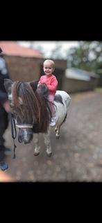 super lieve kinderpony, Dieren en Toebehoren, Merrie, Zadelmak, Recreatiepony, 11 jaar of ouder