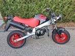 Honda ZB / AB22 origineel., Fietsen en Brommers, Ophalen, 49 cc, Klasse B (45 km/u), 3 versnellingen