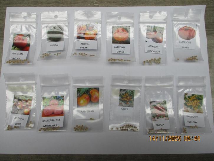 Tomatenzaden vele soorten, Tuin en Terras, Bloembollen en Zaden, Zaad, Voorjaar, Volle zon, Ophalen of Verzenden