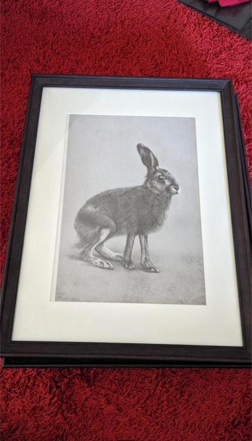 Antieke  dieren prenten ingelijst, Verzamelen, Foto's en Prenten, Zo goed als nieuw, Prent, Dier, 1960 tot 1980, Verzenden