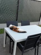Tuintafel wit met glazen blad, Tuin en Terras, Tuinsets en Loungesets, Ophalen, Zo goed als nieuw