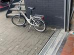 Golden lion meisjes fiets, Fietsen en Brommers, Ophalen, Zo goed als nieuw, Golden Lion, Handrem