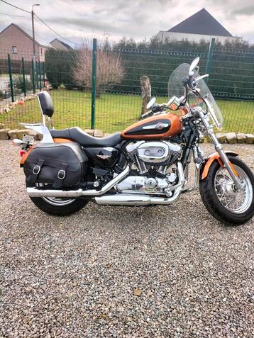 Harley Davidson 1200 sportster custom., Particulier