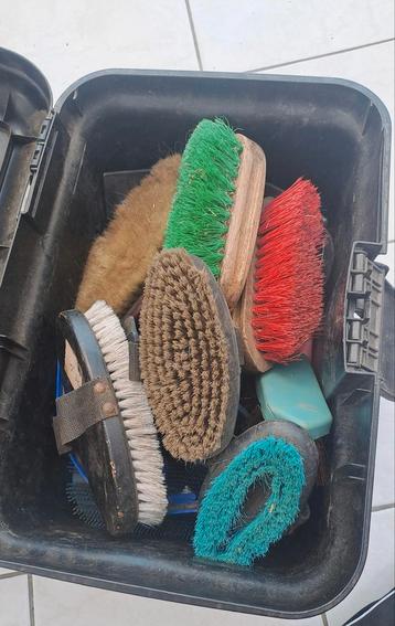 Poetsspullen beschikbaar voor biedingen