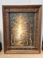 Groot schilderij op doek, landschap, Antiek en Kunst, Ophalen