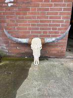 Longhoorn skull dierenschedel longhorn skulls dierenhoofd, Envoi, Neuf