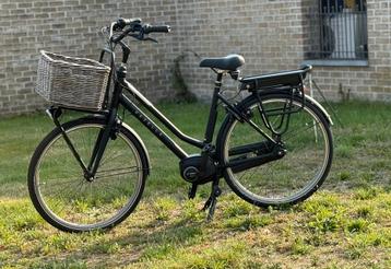 Te koop: krachtige en stijlvolle e-bike, Vitesses, Comme neuf, Enlèvement, 50 à 53 cm