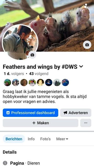 Kakariki tam beschikbaar voor biedingen