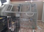 Grande cage à perroquet, Animaux & Accessoires, Oiseaux | Cages & Volières, Enlèvement, Utilisé, Métal, Volière