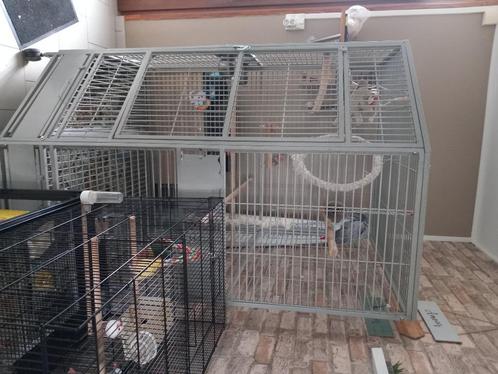 Grande cage à perroquet, Animaux & Accessoires, Oiseaux | Cages & Volières, Utilisé, Volière, Métal, Enlèvement