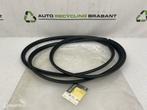 Raamrubber Portier Achter Renault Master 2 NIEUW 7700351256, Gebruikt, Ophalen of Verzenden