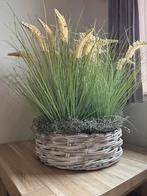 Kunstplanten, Enlèvement, Utilisé, Intérieur