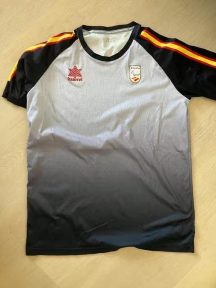 Team España Spanje T-shirt sportmerk Luanvi medium, Kleding | Heren, T-shirts, Zo goed als nieuw, Maat 48/50 (M), Grijs, Ophalen of Verzenden
