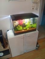 Aquarium met kast zonder inhoud, Dieren en Toebehoren, Vissen | Aquaria en Toebehoren, Ophalen, Zo goed als nieuw