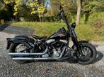 Harley Davidson Crossbones 1584, Particulier, Chopper