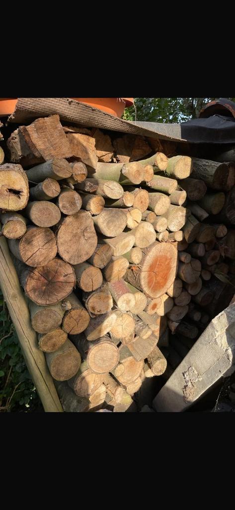 Haardhout (Mariakerke Gent), Tuin en Terras, Brandhout, Blokken, Overige houtsoorten, 6 m³ of meer, Ophalen of Verzenden