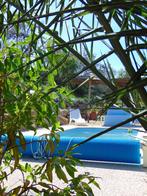 Vakantie villa met zwembad in zuid Portugal ( Algarve ), 12 personnes, Village, 4 chambres ou plus, Internet