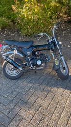 Dax, Enlèvement, Comme neuf