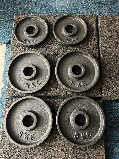 Set gietijzeren halterschijven, Sport en Fitness, Fitnessmaterialen, Zo goed als nieuw, Halterschijven, Ophalen