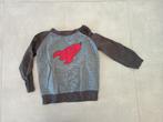 trui jongen maat 80, Ophalen of Verzenden, Zo goed als nieuw, Jongetje, Truitje of Vestje