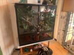Flexarium (kameleon)