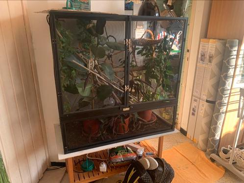 Flexarium (kameleon), Dieren en Toebehoren, Overige Dieren