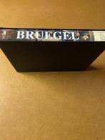 Kunstboek Bruegel, Ophalen, Zo goed als nieuw, Schilder- en Tekenkunst, Diverse auteurs