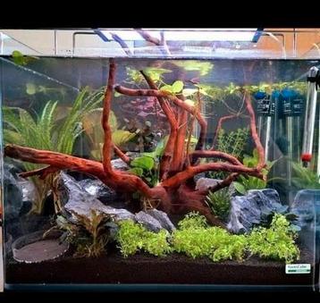 Denerle Nano scapers aquarium met toebehoren beschikbaar voor biedingen