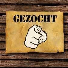 (semi) proff. springruiter gezocht voor 1 ervaren paard, Dieren en Toebehoren, Paarden, Merrie, ZZ, 7 tot 10 jaar