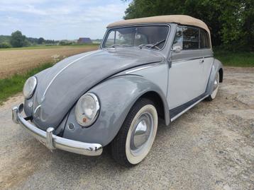 Vw cox kever cabriolet ovale 1954, Autos, Achat, Entreprise, Cabriolet