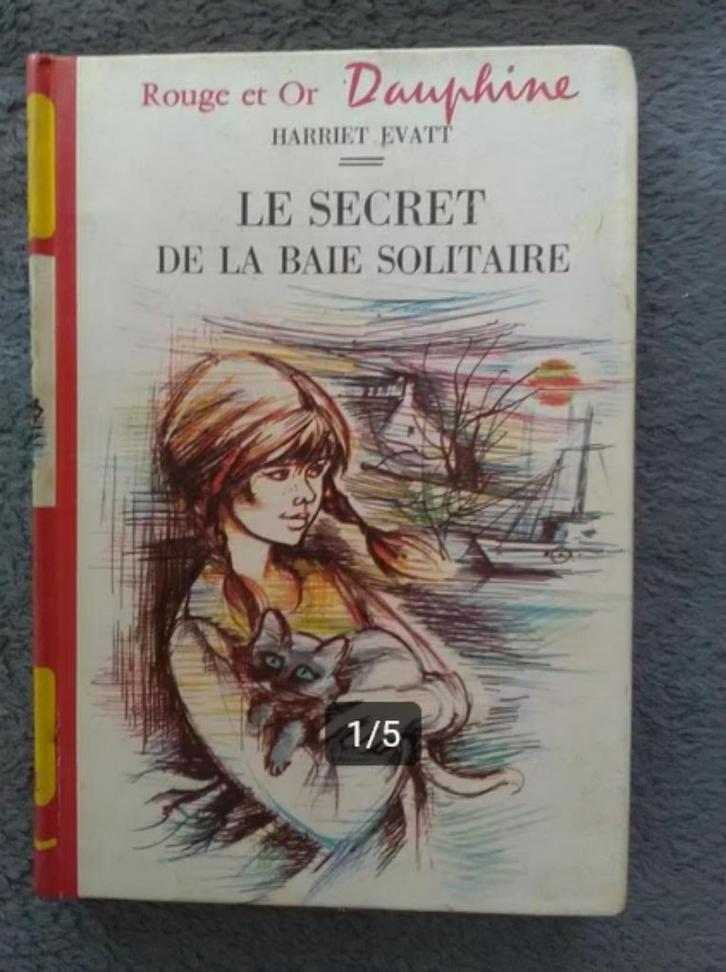 „Het geheim van de eenzame baai” Harriet Évatt (1974), Boeken, Kinderboeken | Jeugd | onder 10 jaar, Gelezen, Fictie algemeen