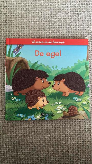 De egel beschikbaar voor biedingen