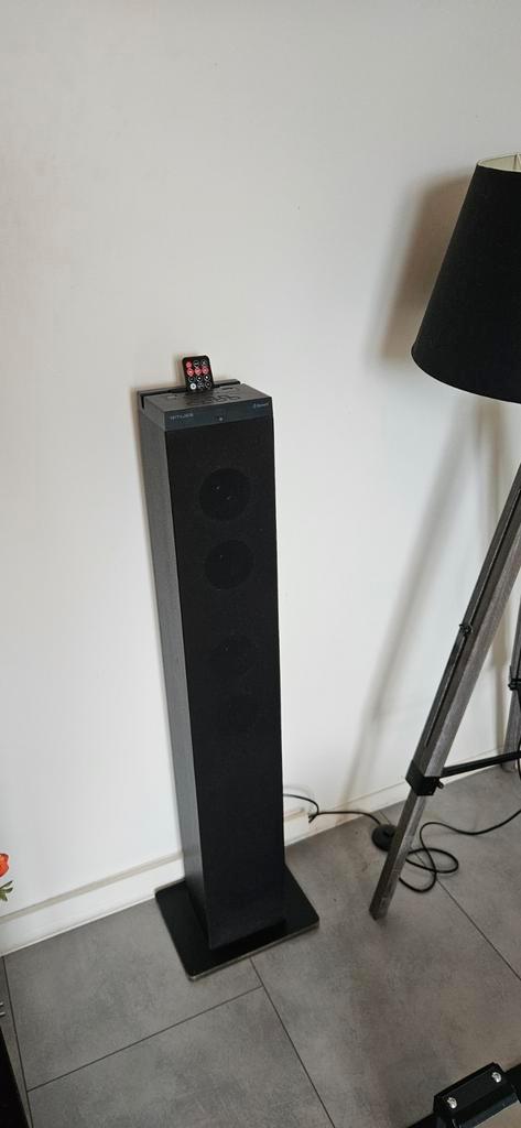MUSE M-1250BT staande bluetooth speaker zwart, Audio, Tv en Foto, Luidsprekerboxen, Zo goed als nieuw, Subwoofer, Ophalen