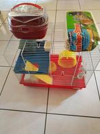 cage hamster avec accessoires, Kooi, Gebruikt, Minder dan 75 cm, Hamster