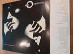 Lp Roy Orbison, Cd's en Dvd's, Vinyl | Pop, Ophalen of Verzenden, 1980 tot 2000, Gebruikt, 12 inch
